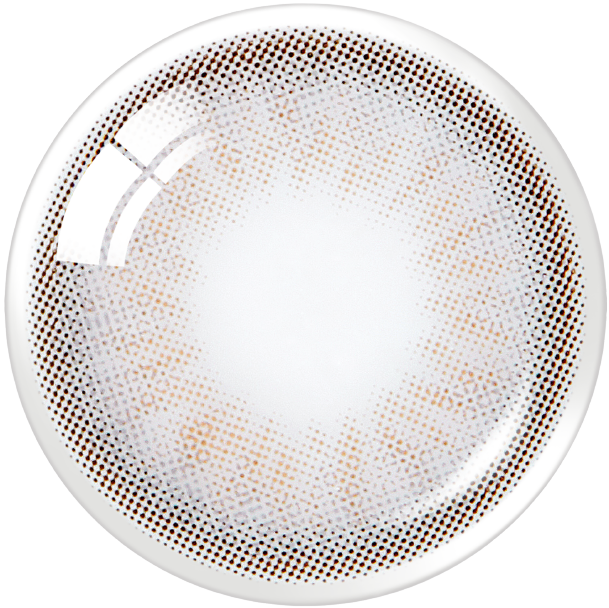 French Gold 3con 1Day Gray