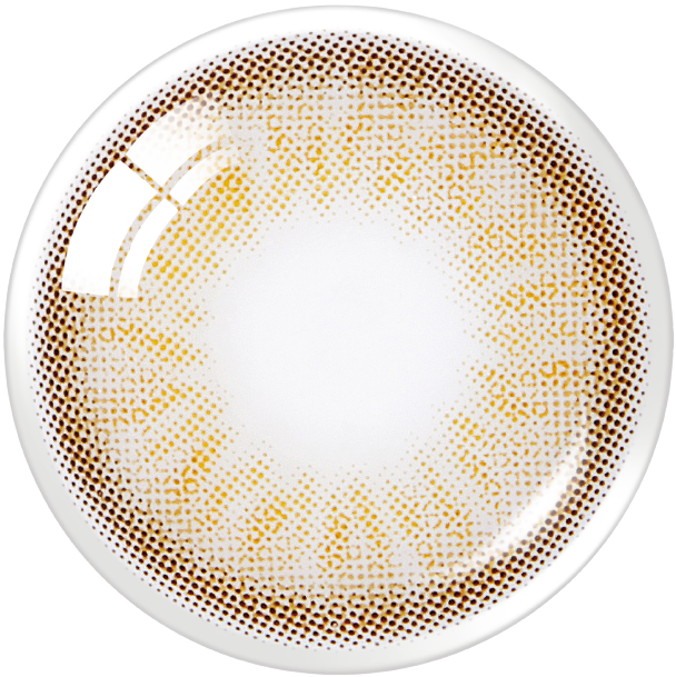 French Gold 3con 1Day Hazel