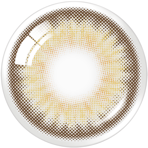 Spanish Circle 1Day Brown