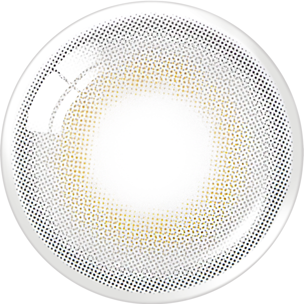 French Shine 1Day Gray